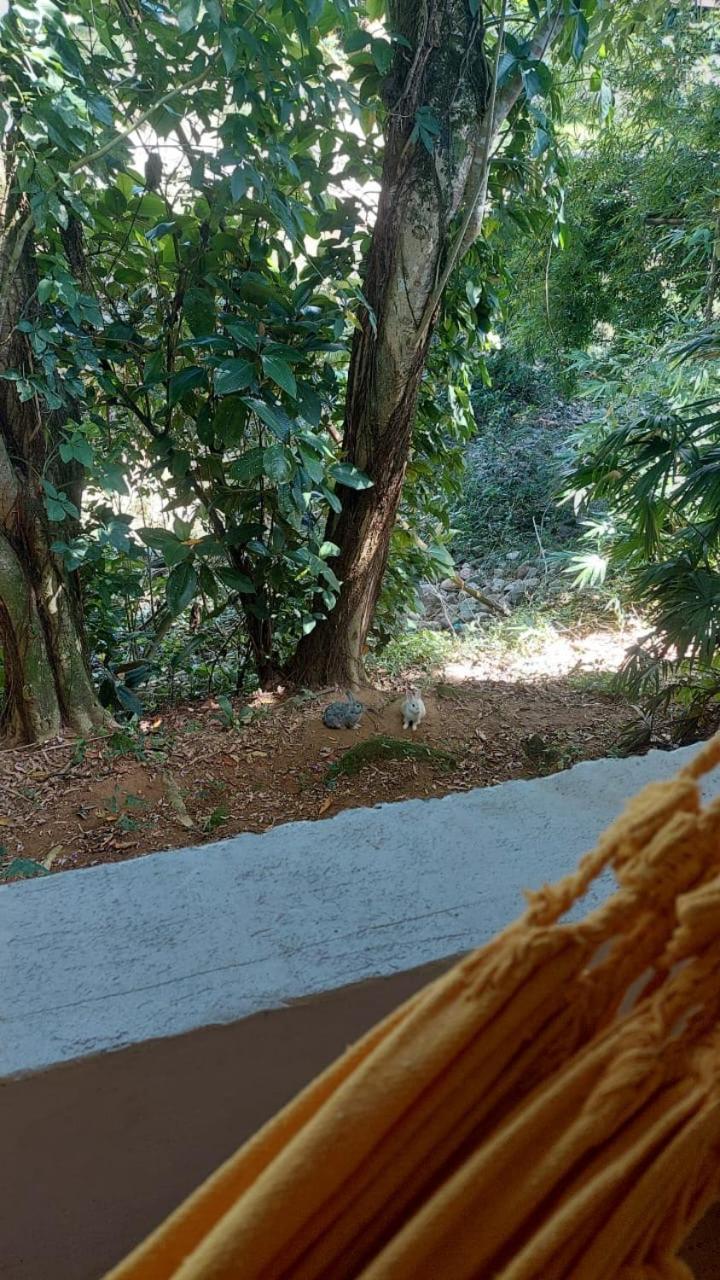 Otima Nota - Rancho Caminho Do Ouro ,Proximo Praias , Ilhas ,Cachoeiras E Centro Historico Paraty Dış mekan fotoğraf
